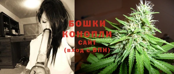 индика Белоозёрский