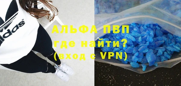индика Белоозёрский