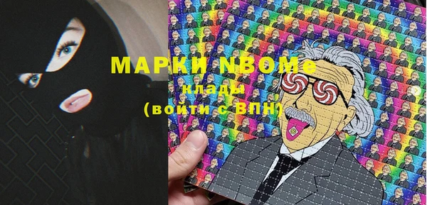 индика Белоозёрский