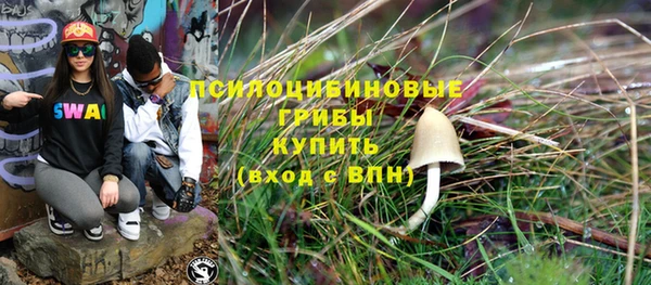 индика Белоозёрский
