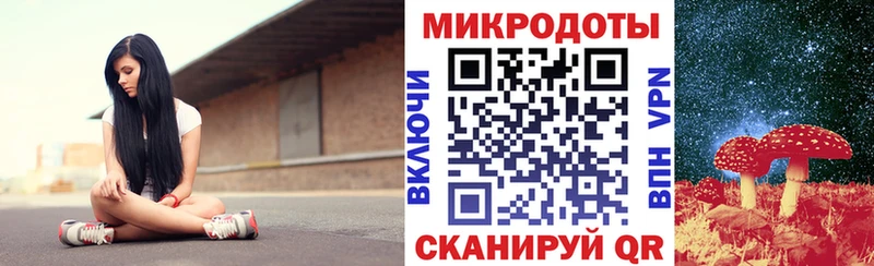 Псилоцибиновые грибы Psilocybine cubensis Верхний Тагил